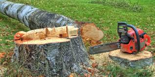 Best Tree Mulching  in Cleveland, NC