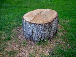  Cleveland, NC Tree Removal Pros